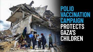 Polio Vaccination Campaign Protects Gaza's Children