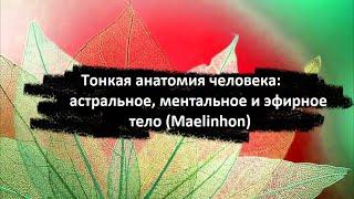 Тонкое тело: ментальное, астральное и глупое (Maelinhon)