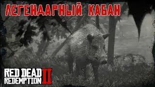 ЛЕГЕНДАРНЫЙ КАБАН - охота в RDR 2