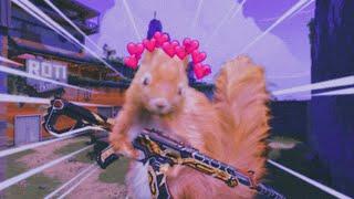 Dancing Squirrel ️ | Valorant Montage