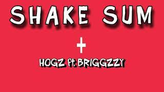 HOGZ - SHAKE SUM (feat. Briggzzy) [Official Audio]