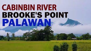 CABINBIN RIVER BROOKE'S POINT, PALAWAN | Travel Vlog by Archie Barone