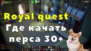 Royal Quest - ГДЕ КАЧАТЬ ПЕРСА 30+