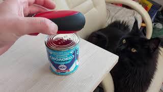 Тест автоматического консервного ножа с АлиЭкспресс Mini Can Opener.