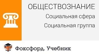 Обществознание. Социальная сфера: Социальная группа. Центр онлайн-обучения «Фоксфорд»