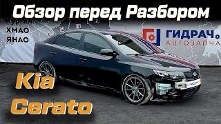 Обзор перед разбором Kia Cerato (TD)