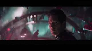 Ant-Man and the Wasp :quantumania