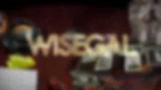 Wisegal (Español)