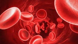 Why Do We Have Different Blood Types?