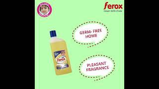 Clean Home with ferox surface cleaner