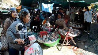 Walking in the market of Phnom Penh, knowing the truth, the way of life and the sales of the people