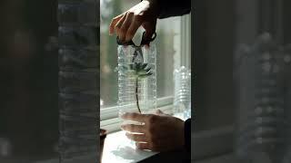 You've Been Recycling Plastic Bottles WRONG!