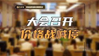 跨国车企价格战熄火，有形之手能否力挽狂澜？