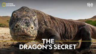 The Dragon’s Secret | Dangerous Encounters | हिन्दी | Full Episode | S3 - E2 | National Geographic