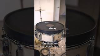 The Power of Black Hole Drum Heads