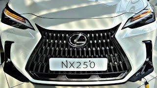 2023 New Lexus NX250 in depth walkaround