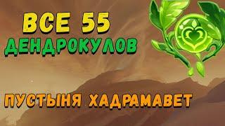 Дендрокулы Пустыня Хадрамавет | как найти все дендрокулы | лучший маршрут сбора | Genshin Impact 3.4