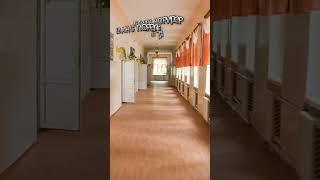САМЫЕ НЕОБЫЧНЫЕ СУЩНОСТИ В ШКОЛЕ