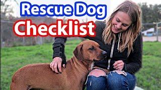 Ultimate RESCUE DOG Checklist | Dog MUST-HAVES