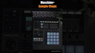 Maschine sample chops