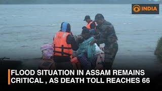 Assam flood situation still critical, death toll reaches 66 | DD India