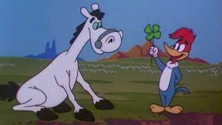 Woody's Lucky Friend | Woody Woodpecker