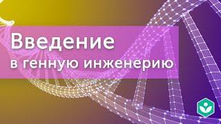 Введение в генную инженерию (видео 1) | Генная инженерия |Молекулярная генетика