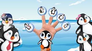 【Пингвины. Penguins】Семья пальчиков  Finger Family Song 