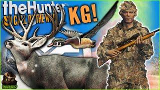I Stole A Diamond Wood Duck From Kendall Gray! (And found him a mule deer) Call of the wild