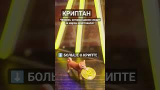 Кто такой Криптан? #криптовалюта #биткоин #биткоинснуля #криптовалютаобучение #crypto