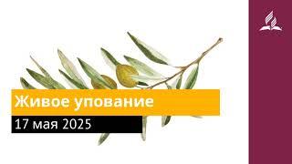 17 мая 2025. Живое упование. Под сенью благодати | Адвентисты