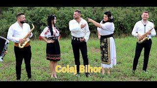 Colaj Bihor - Diana Selagea - Alexandra Sava - Laurentiu Lazar