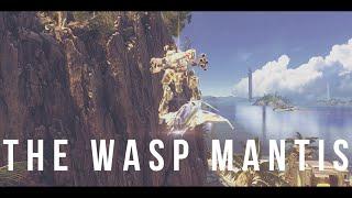 The Manticus Waspeous - MANTIS WASP SURFING