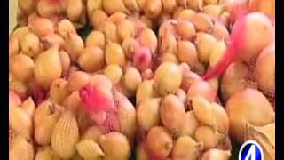 MINISTRY OF AGRICULTURE AND IICA HOST GOVERNANCE IN PRODUCERENTERPRISE GROUPS WORKSHOP