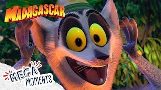 I Like to MOVE IT MOVE IT 🪩 | Madagascar | Movie Moments