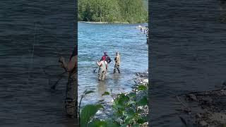 Kenai River fishing#fishing #fish #salmon #flyfishing #outdoors #explore #travel #adventure #fun