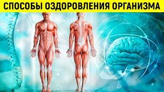 Самоисцеление и Оздоровление организма, Укрепление Иммунитета | Смотри и Знай