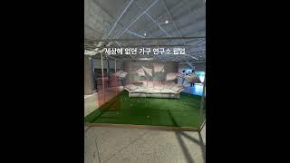 #현대리바트 #세상에없던가구연구소 #리바트공방마켓 #성수동전시 #팝업스토어 #가구전시 #수공예 #EQL성 수 #주말나들이