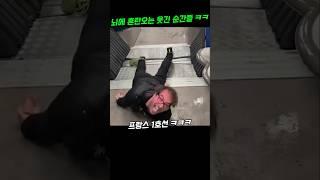 웃긴영상 레전드 뇌에 혼란오는 순간들#유머