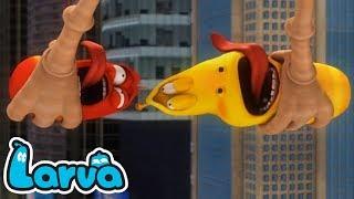 Larva Cartoon | Larva Full Episode 1 ~ 16 | Larva New Season 5 | Larva Movie