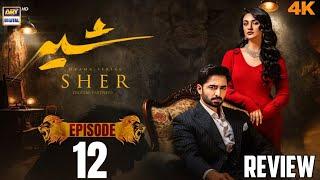 Sher Drama Episode 12 | In Depth Review And Analysis By IK PAK PROMO | Drama Review