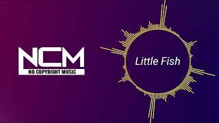 No Copyright Music: Little Fish