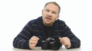 Canon 60D: Has Canon Secretly Improved the 60D Auto Focus and Kept It Hush Hush?
