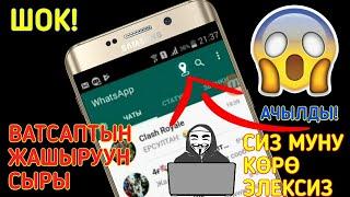 Ватсаптын 2019 / Жаны сыры ачылды ШУМДУК КОР!