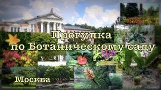 Прогулка по Ботаническому саду. Москва Главный Ботанический сад РАН им. Н.В. Цицина