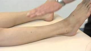 How to Locate Acupuncture Points (ST40)