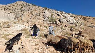 Cleansing nature: inspiring action of Iran nomads | nomadic life #Balrod