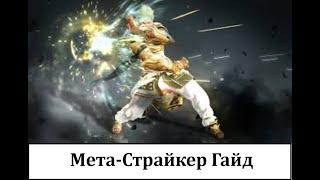 Awakening Striker meta Guide BDO Страйкер гайд