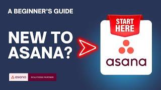 Asana for Beginners  Key Terms You Need to Know to Get Started