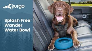 The Splash-Free Wander Water Bowl | No-spill travel bowl for dogs